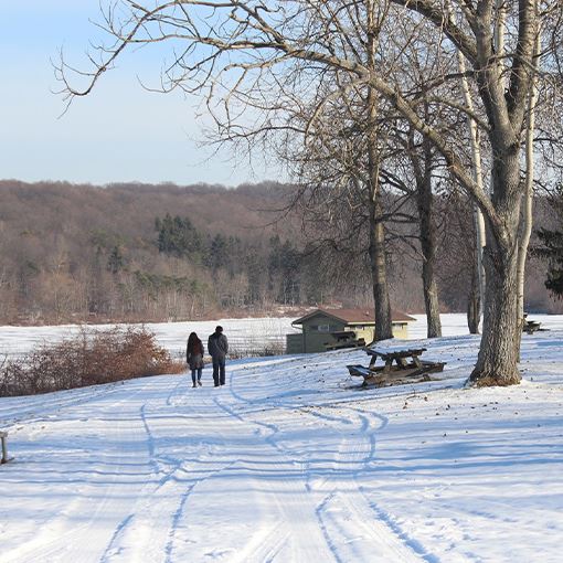 People walking in the snow in the park